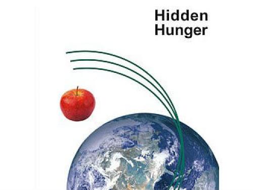 4th Congress Hidden Hunger - Reminder Scholarship Program and Application